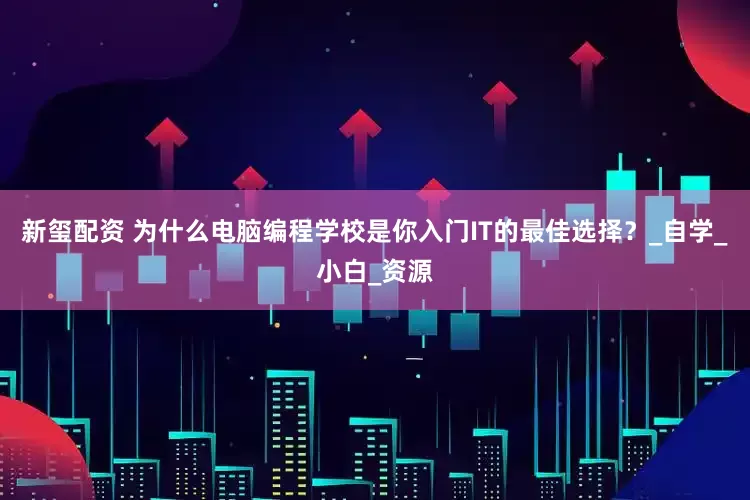 新玺配资 为什么电脑编程学校是你入门IT的最佳选择？_自学_小白_资源